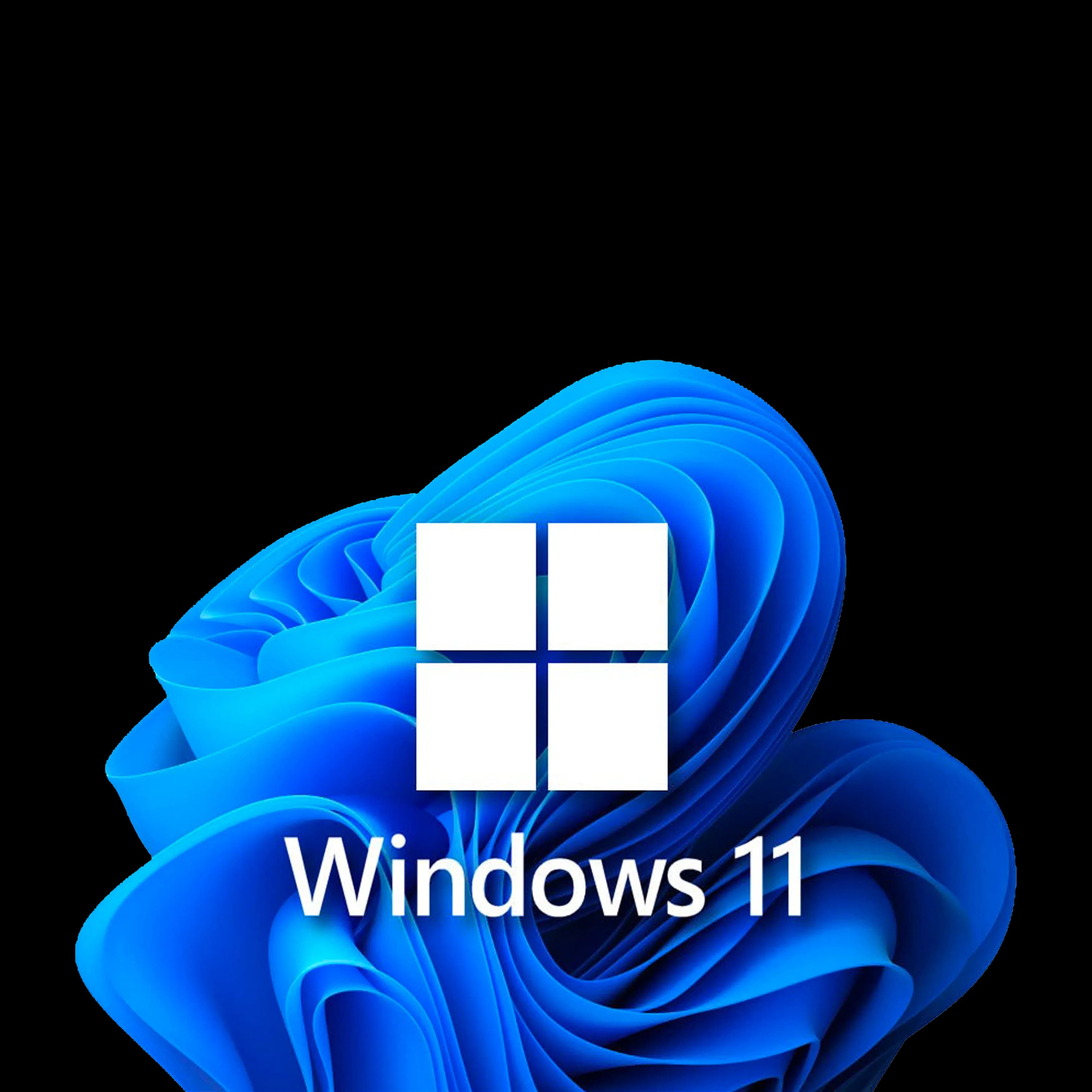 Windows 11 ISO